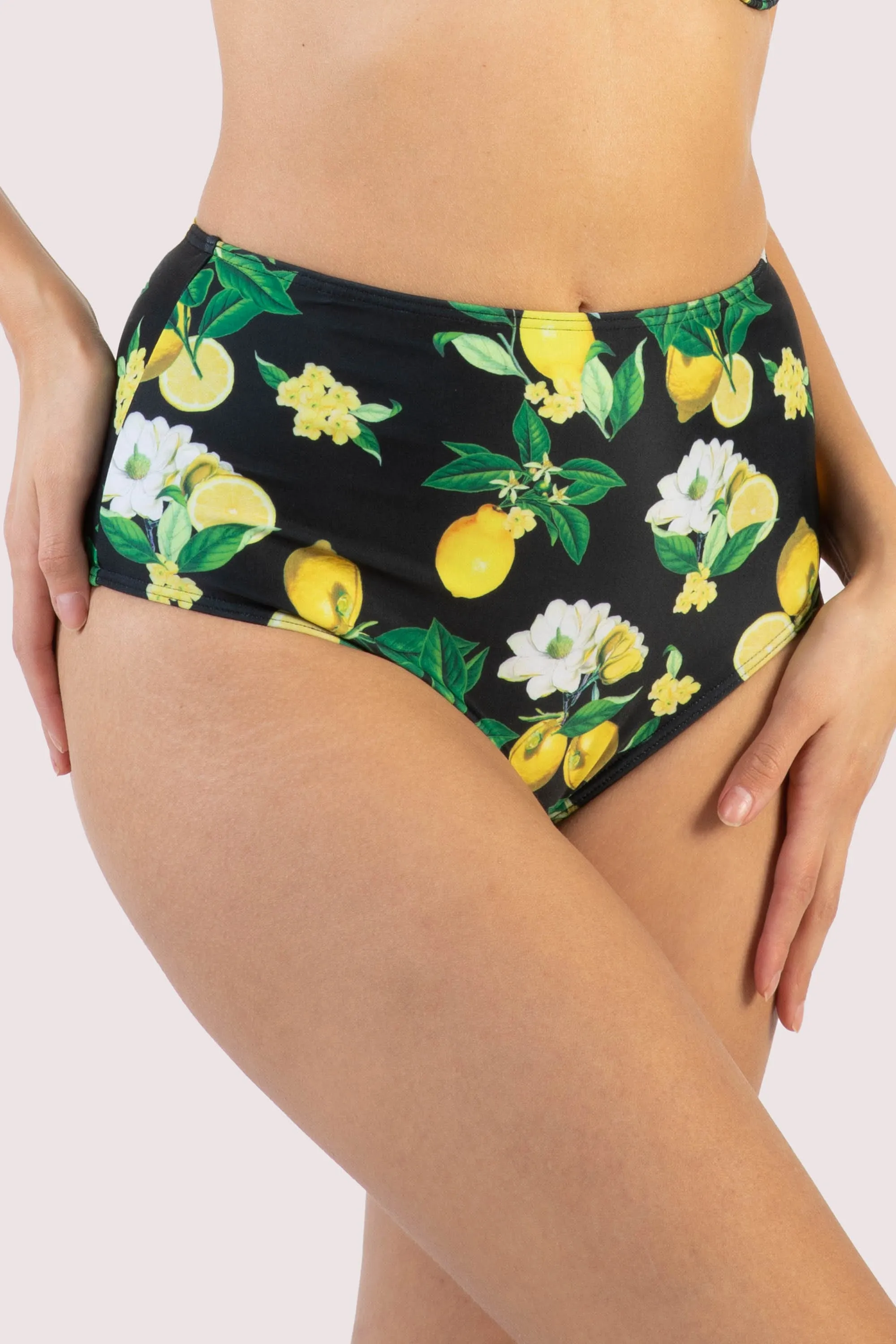 Claudette Lemons High Waisted Bikini Bottom